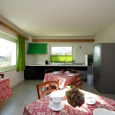 Stregatto Dalla Luna Feltre