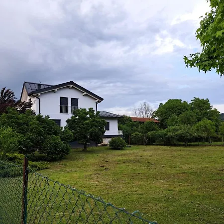 Stregatto Dalla Luna