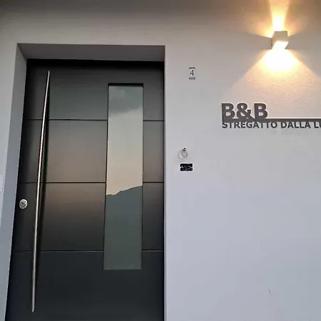 Stregatto Dalla Luna Feltre