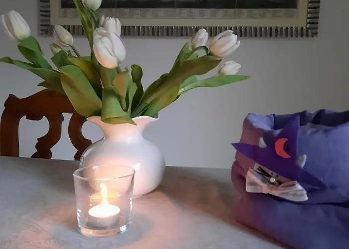 Bed & Breakfast Stregatto Dalla Luna Feltre