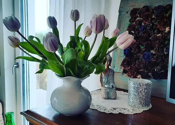 Stregatto Dalla Luna 3* Feltre