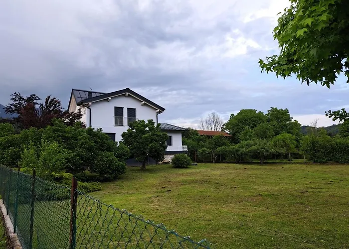 Stregatto Dalla Luna