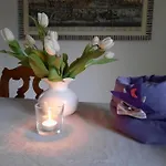 Bed & Breakfast Stregatto Dalla Luna Feltre